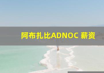 阿布扎比ADNOC 薪资